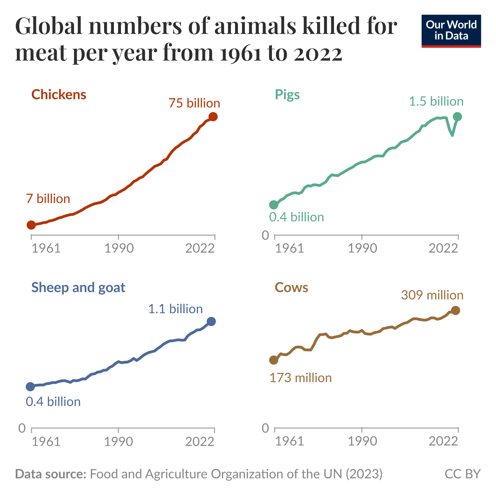 The image presents a data visualization illustrating the number of animals killed for meat worldwide from 1961 to 2022. It is divided into four sections, each representing a different animal species:

1. Chickens: Shown in orange, the graph starts at zero in 1961 and rises sharply, reaching approximately 60 billion killed by 2022.
  
2. Pigs: Displayed in green, this chart shows a more gradual increase, starting from zero in 1961 and peaking at around 1 billion killed by 2022.

3. Sheep and Goats: Presented in blue, this line shows a steady rise from zero in 1961 to nearly 400 million by 2022, with a peak near 1 billion.

4. Cows: Illustrated in dark green, this graph shows a slow but consistent increase from zero to about 300 million killed by 2022.

Each section has a label indicating the species and the number of animals on the vertical axis, while the horizontal axis marks the years from 1961 to 2022. The bottom of the image references the data source as the Food and Agriculture Organization of the UN from 2023, with a CC BY attribution.